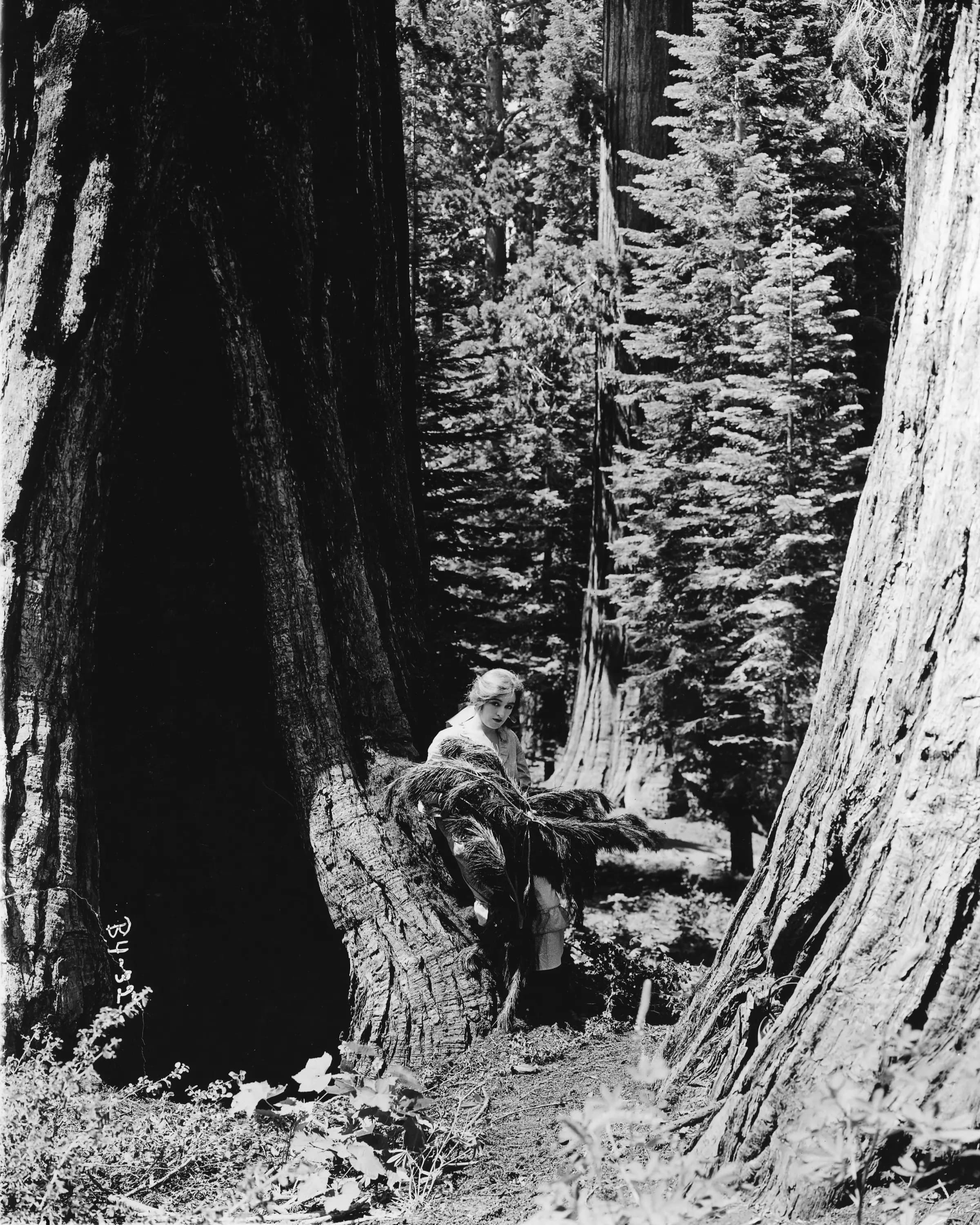 The Broken Commandments