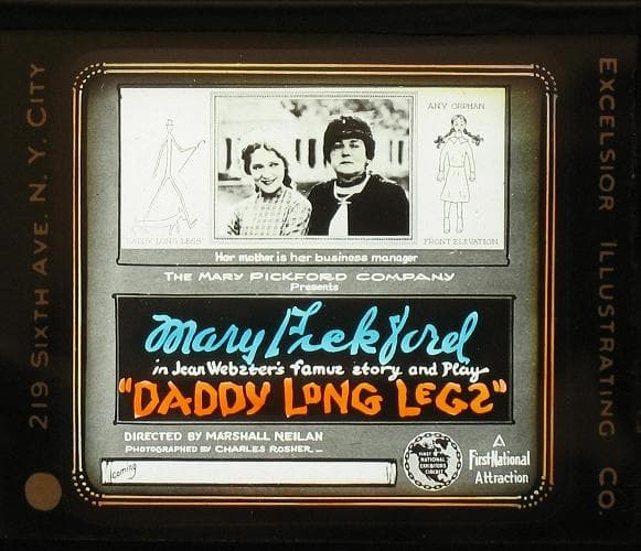 Daddy-Long-Legs