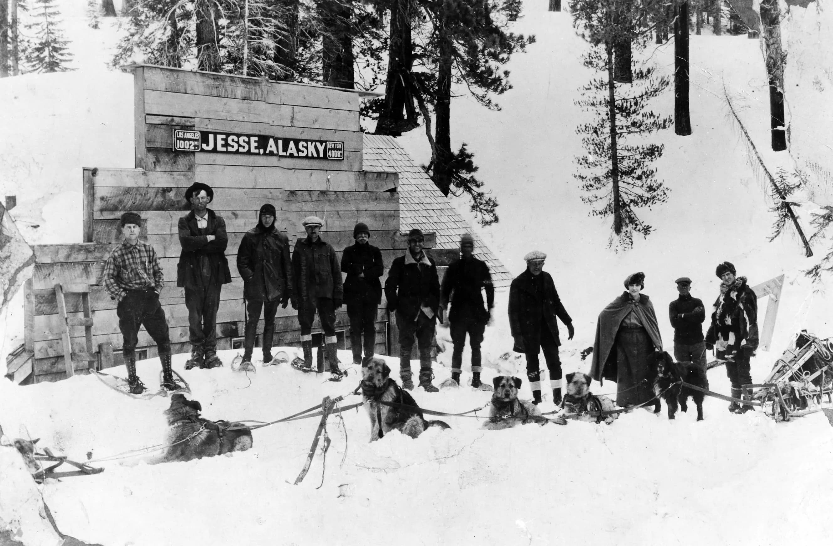 A Daughter of the Wolf