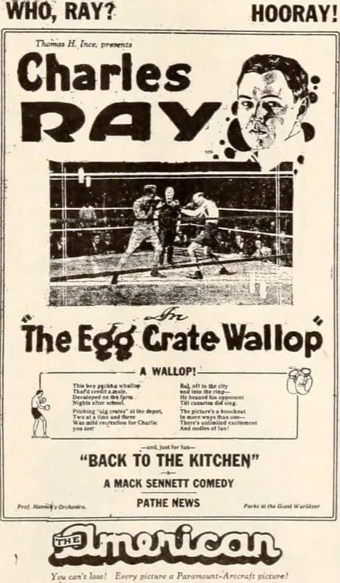 The Egg Crate Wallop photo