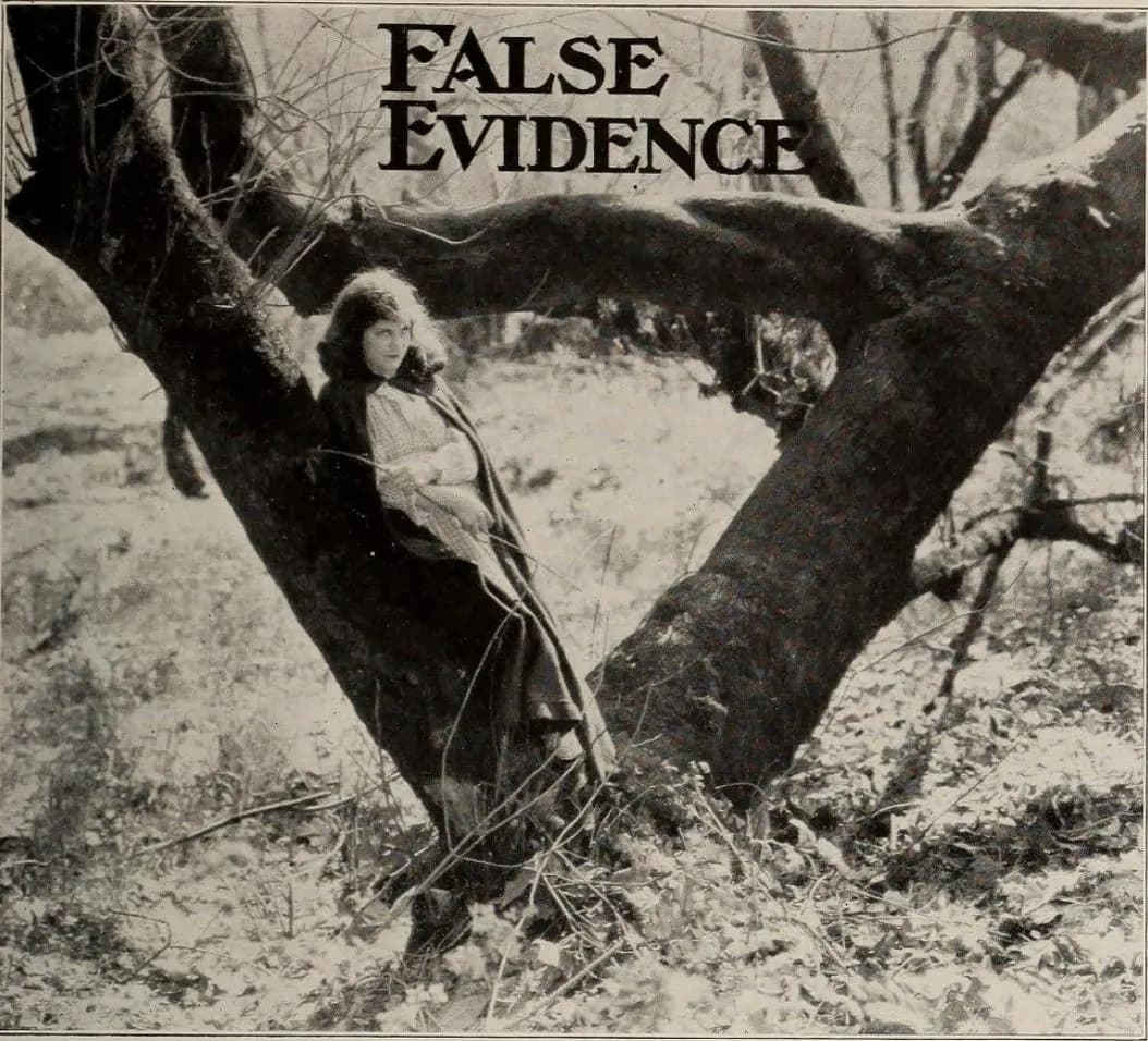 False Evidence