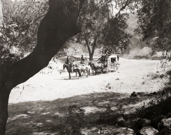 Hobbs in a Hurry photo