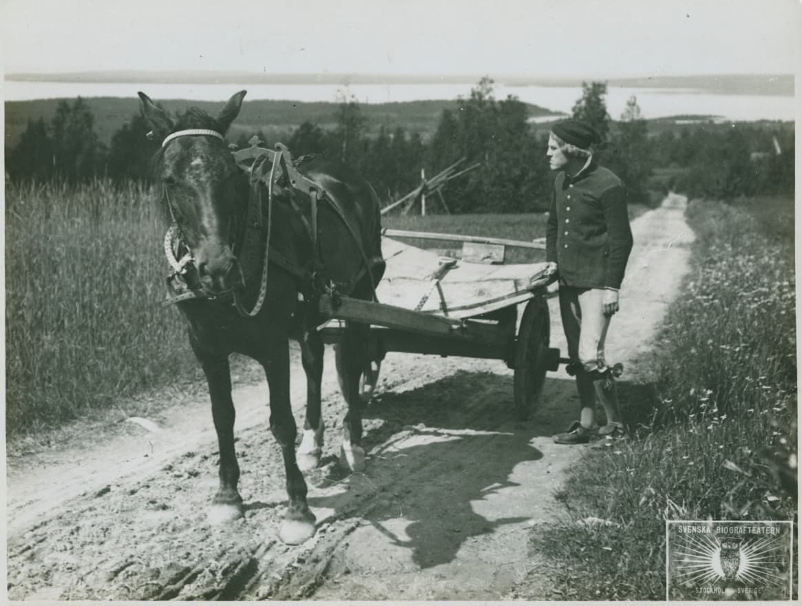 Ingmarssönerna photo