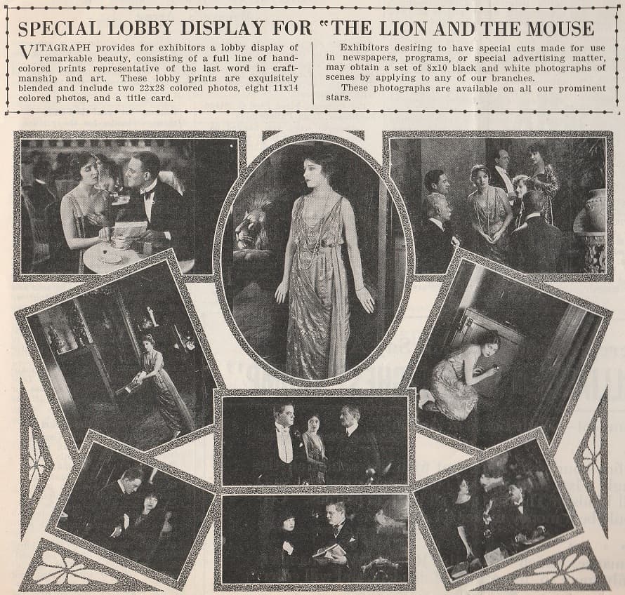 The Lion and the Mouse photo