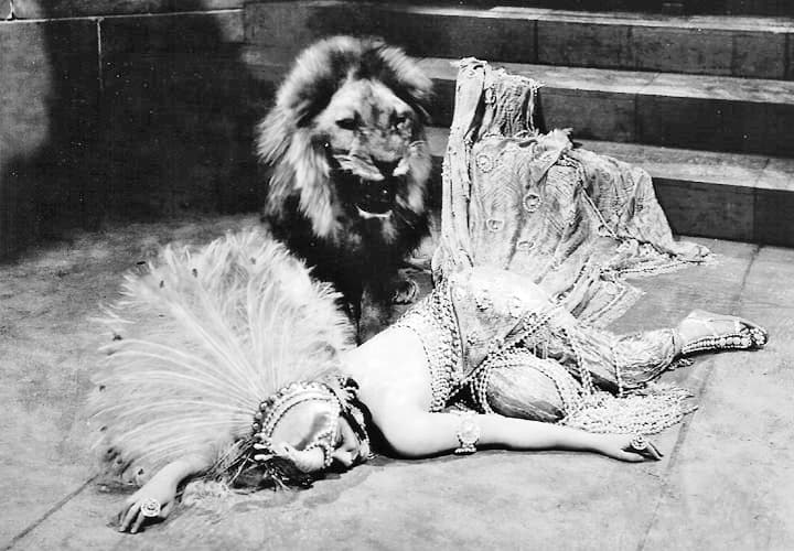 Male and Female photo