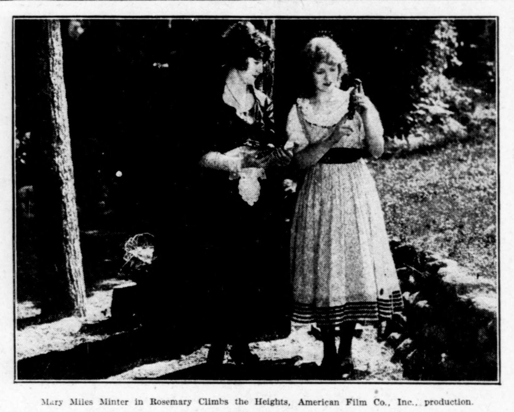 Rosemary Climbs the Heights