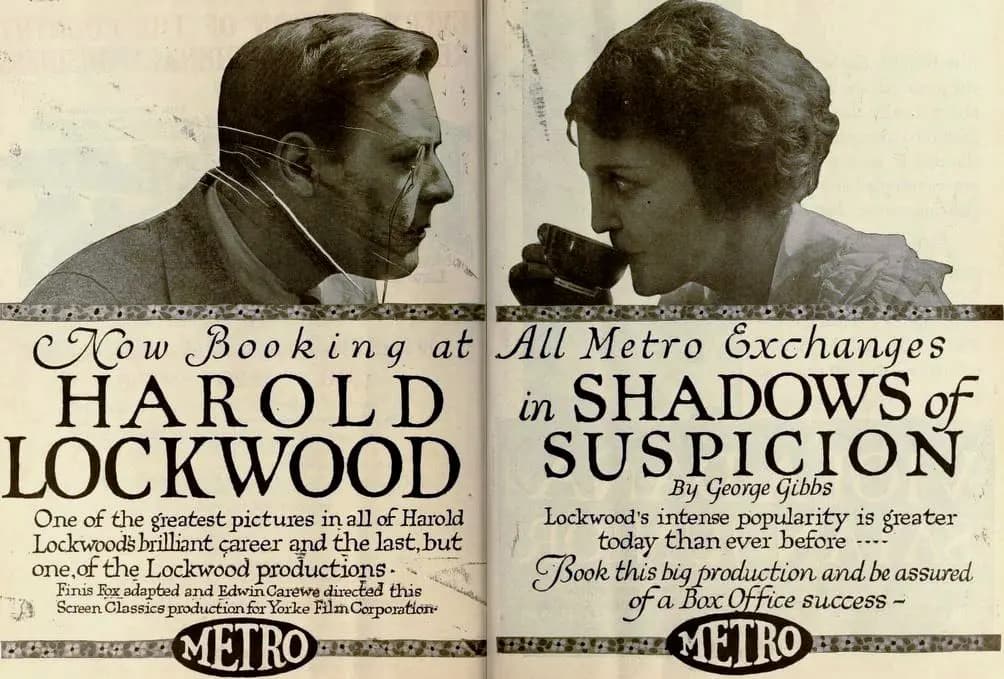 Shadows of Suspicion