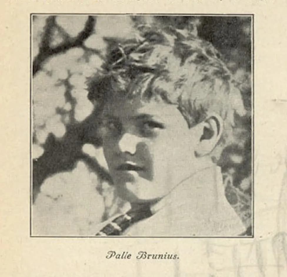 Fairy of Solbakken photo