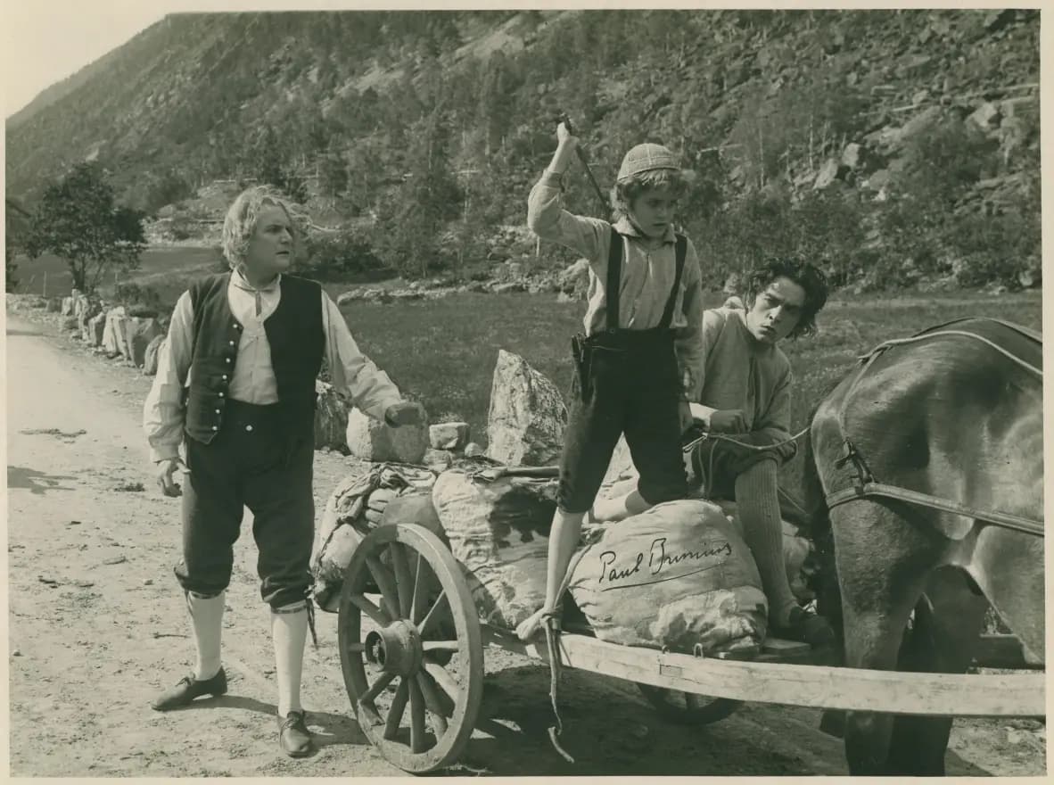 Fairy of Solbakken photo