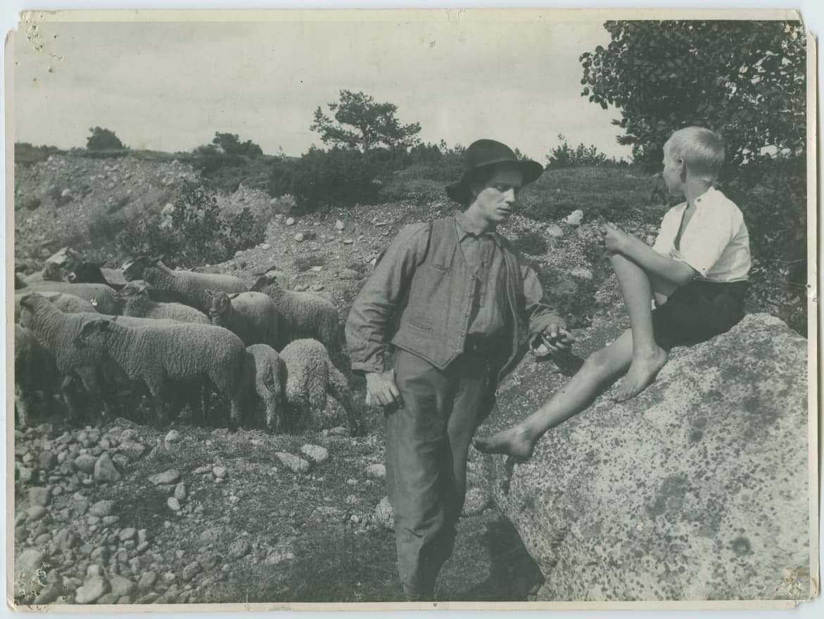 Sången om den eldröda blomman