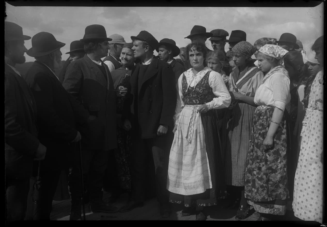 Sången om den eldröda blomman