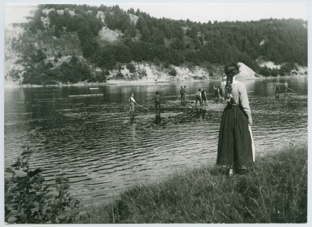 Sången om den eldröda blomman