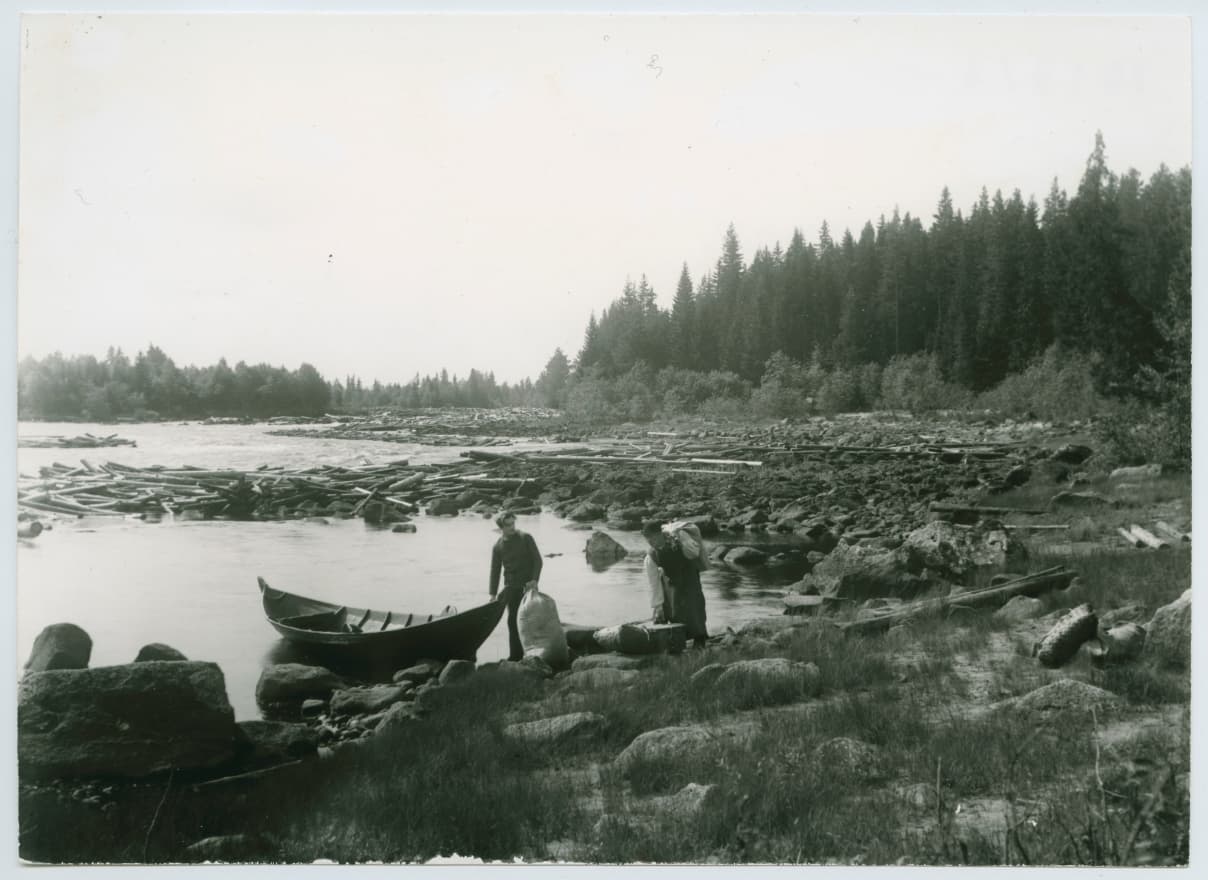 Sången om den eldröda blomman