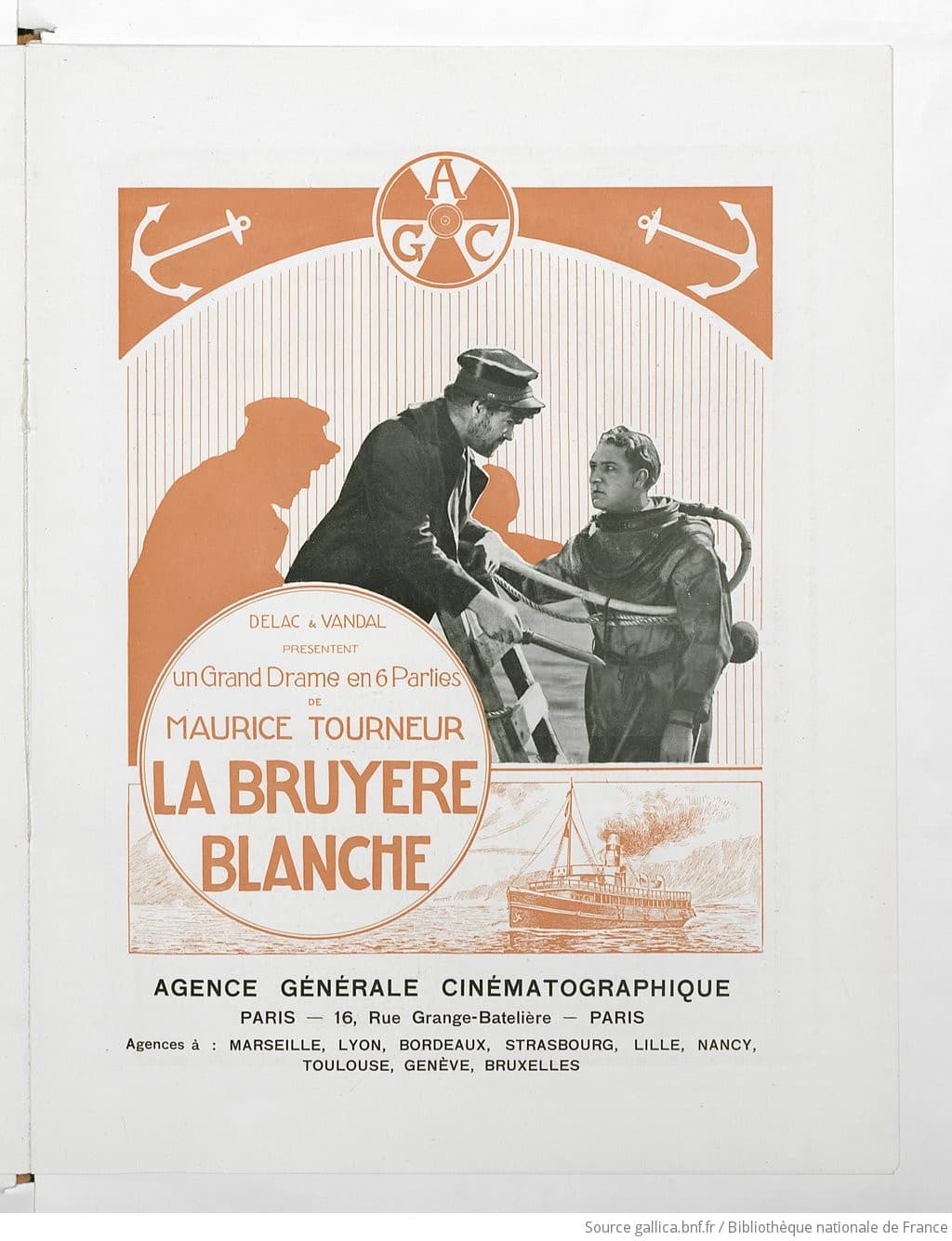 The White Heather photo