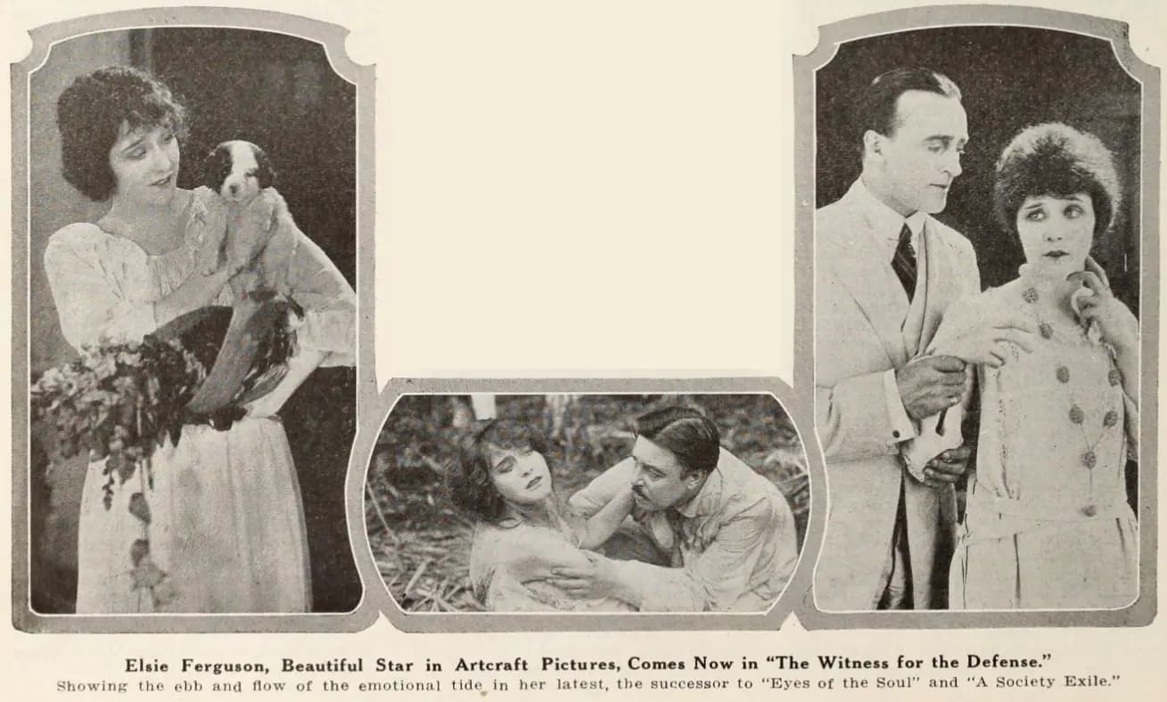 The Witness for the Defense