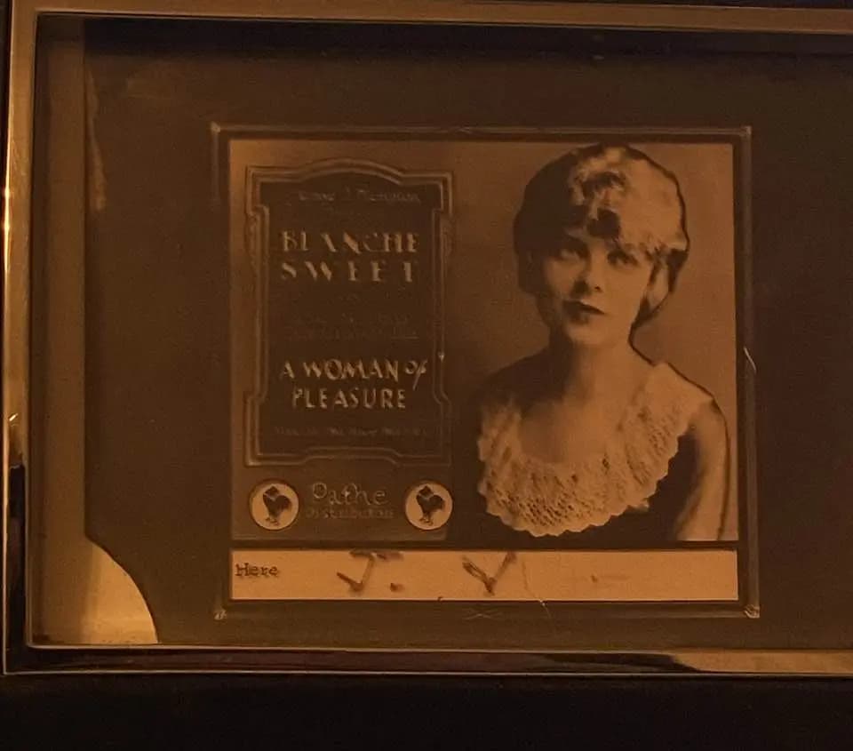 A Woman of Pleasure photo