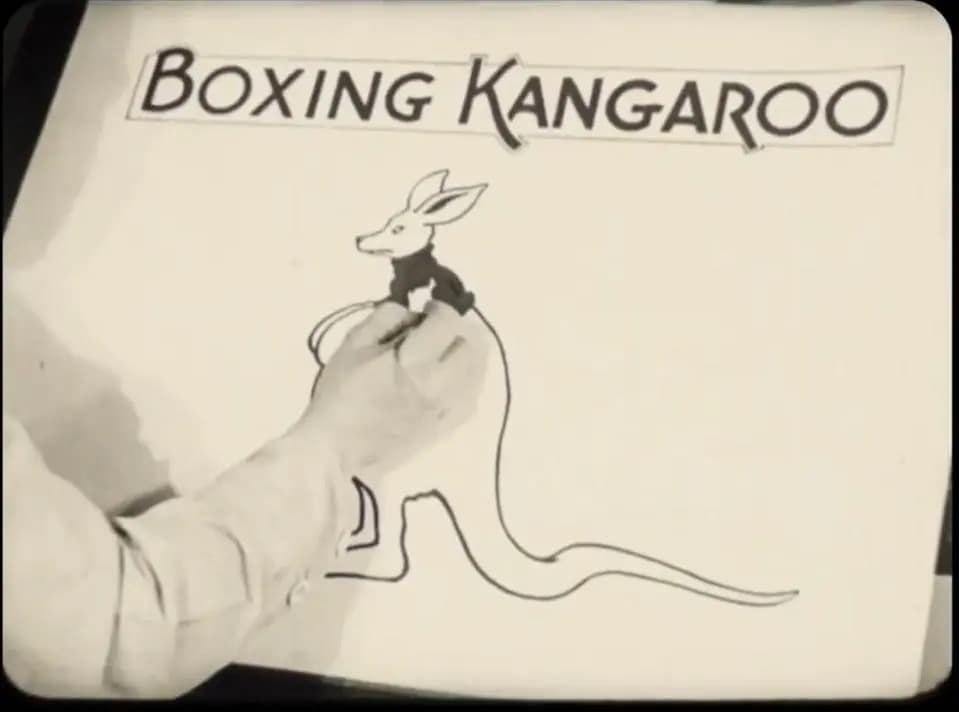 The Boxing Kangaroo