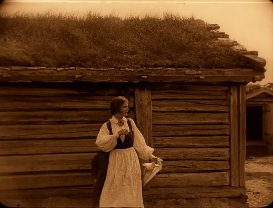 Gypsy Anne