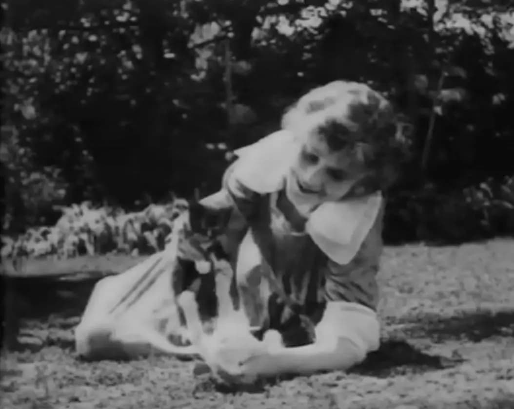 The Man from Kangaroo