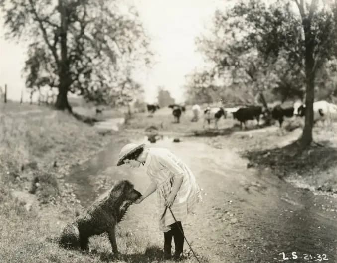 Merely Mary Ann photo