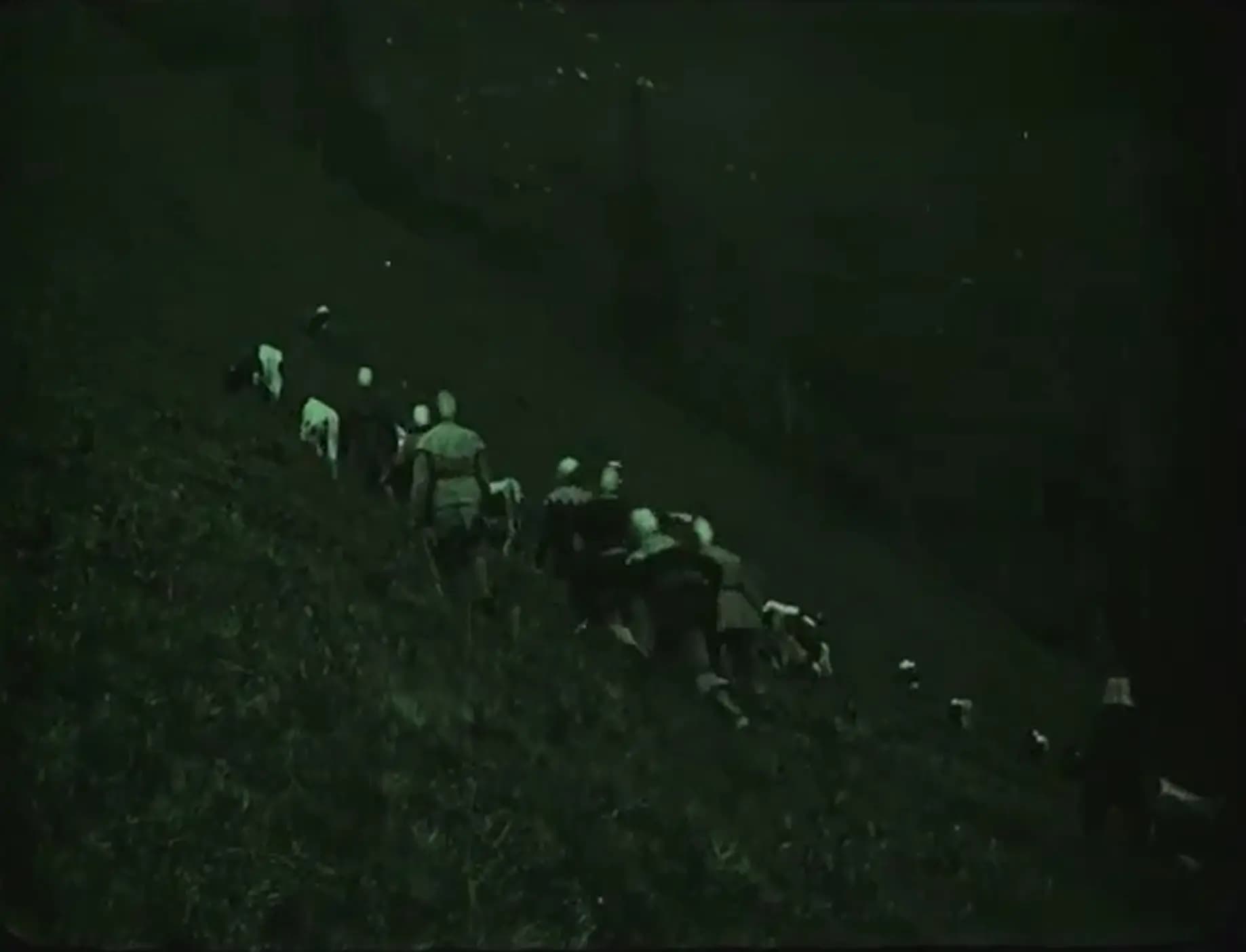 The Great Cattle War
