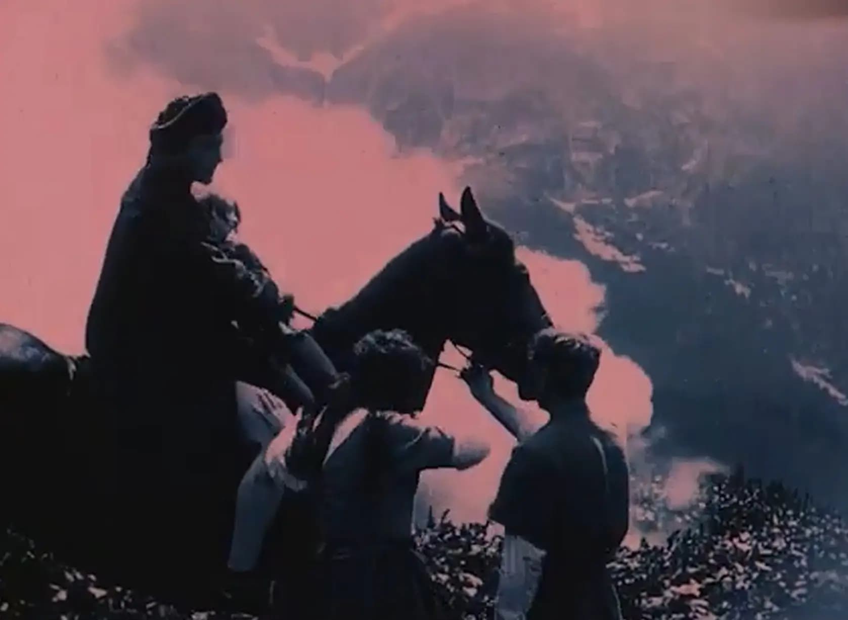 The Great Cattle War