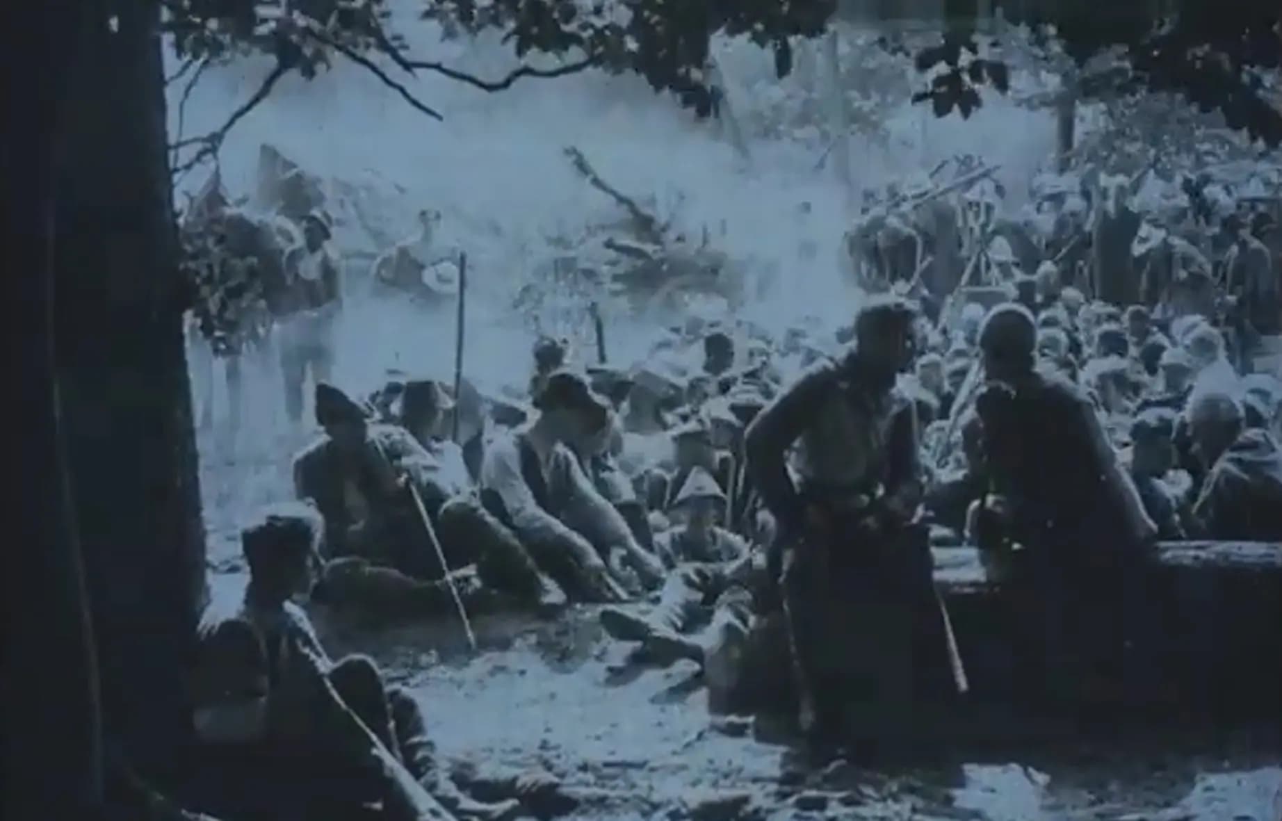 The Great Cattle War