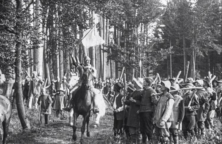 The Great Cattle War