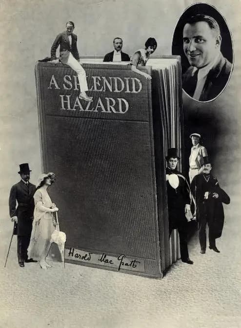 A Splendid Hazard photo