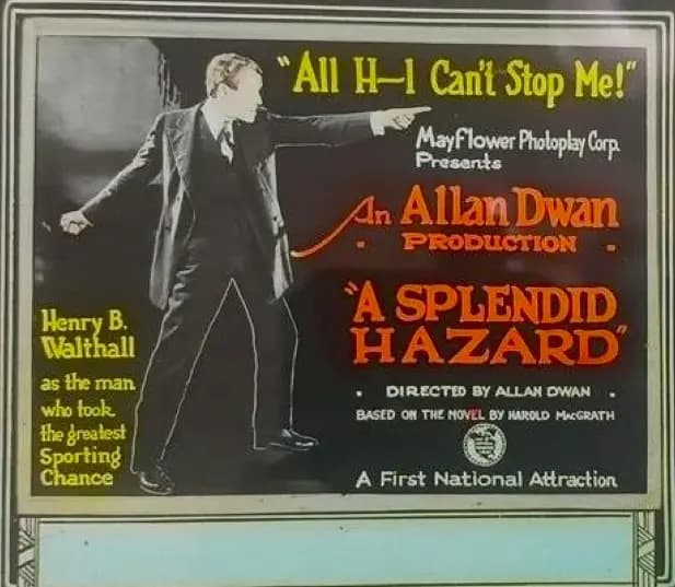 A Splendid Hazard