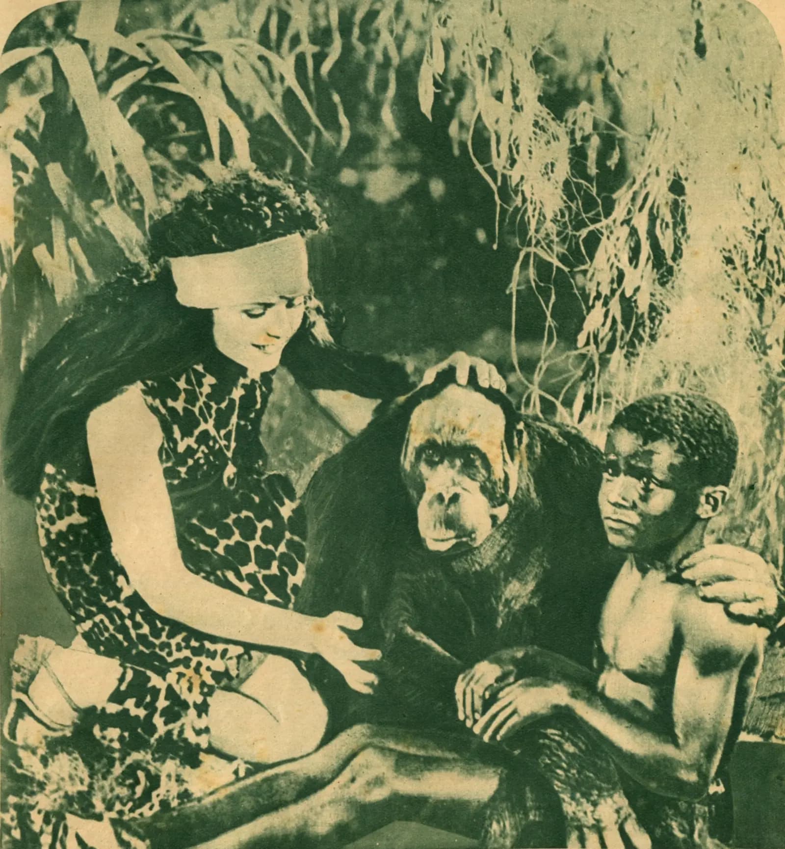 Adventures of Tarzan photo