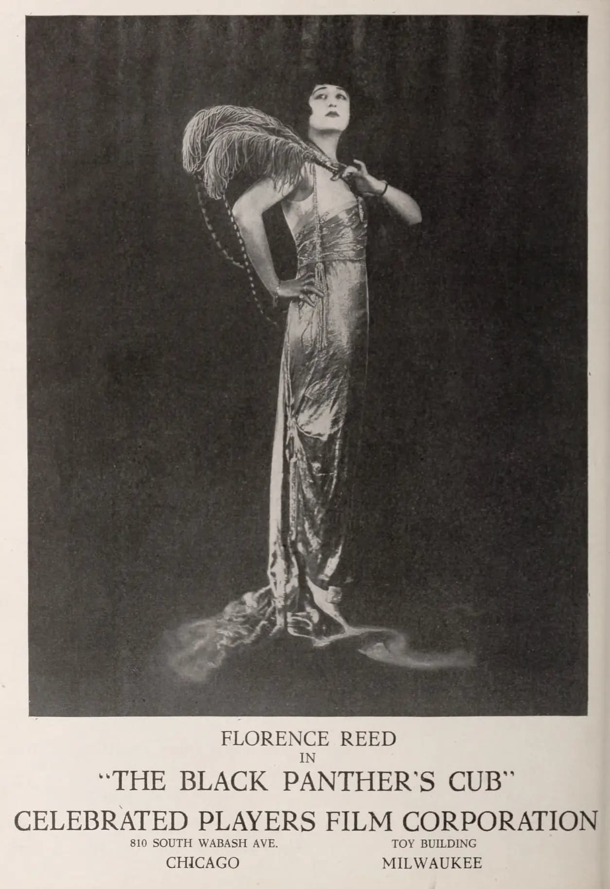 The Black Panther's Cub