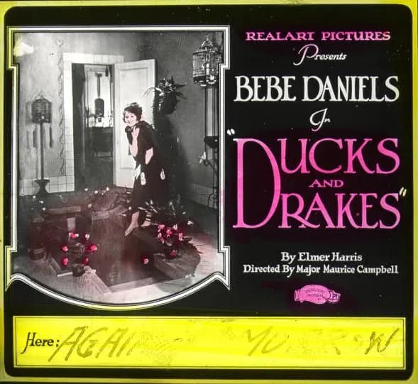 Ducks and Drakes photo