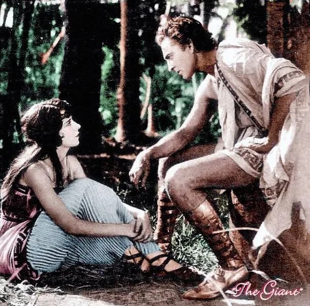 The Lotus Eater photo