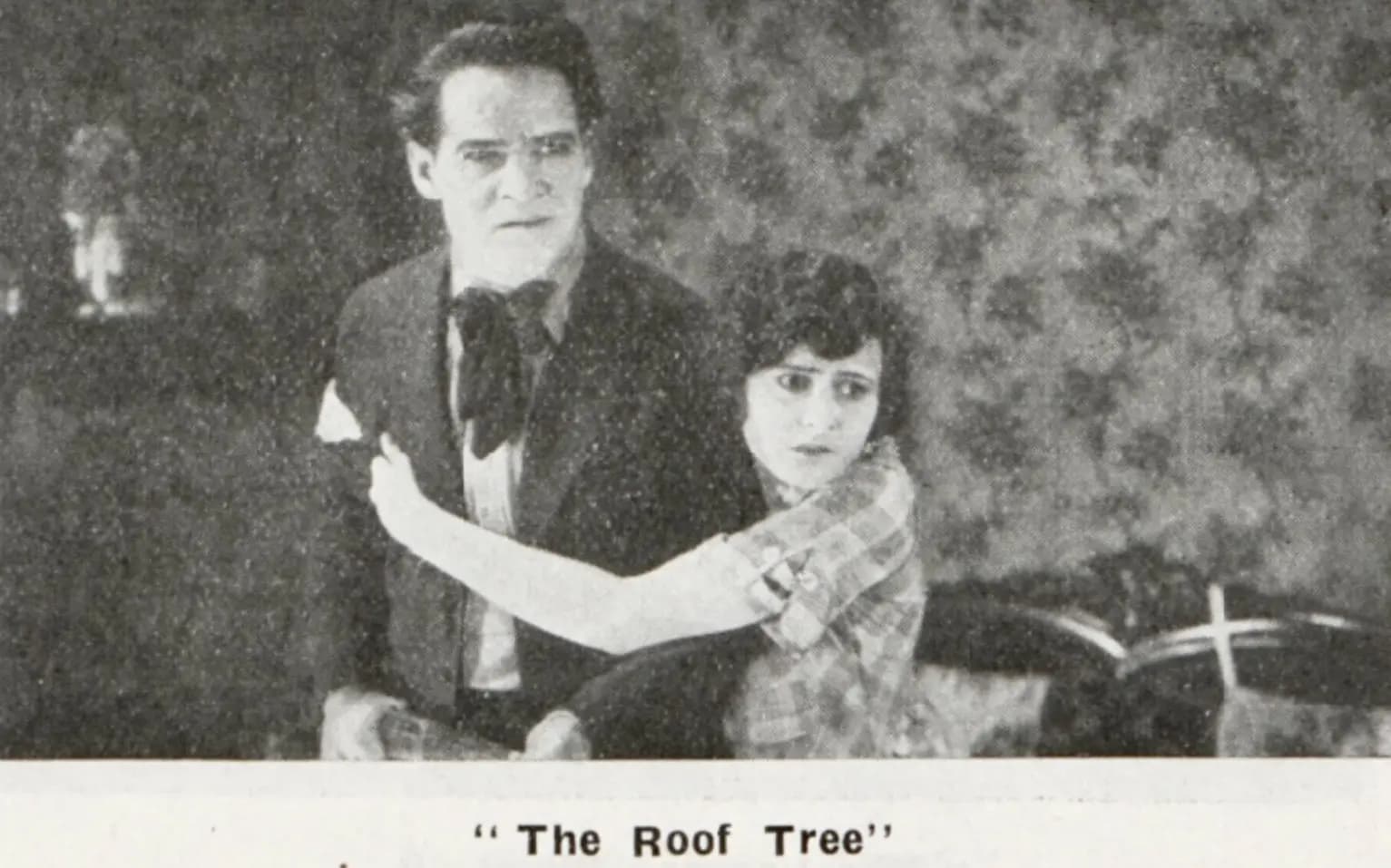 The Roof Tree