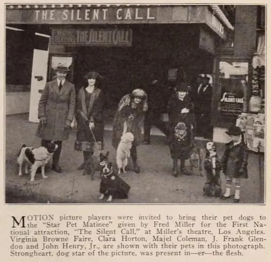 The Silent Call photo