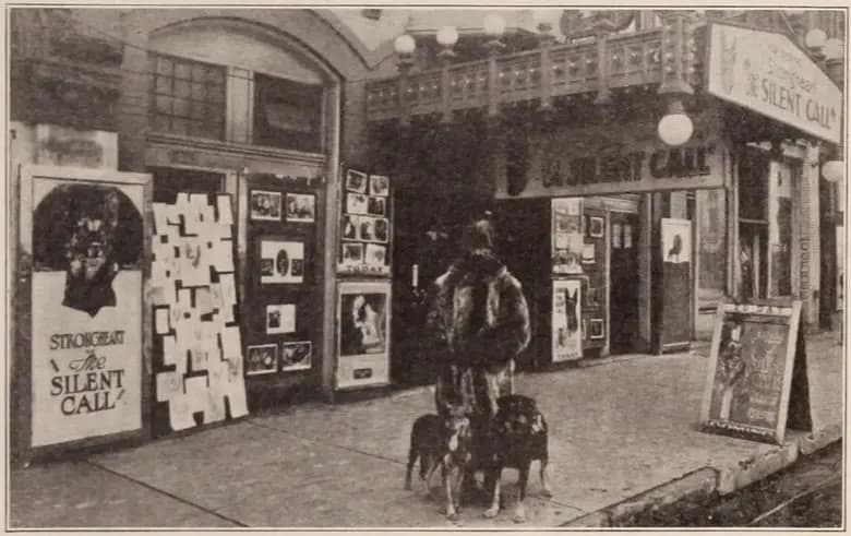 The Silent Call photo