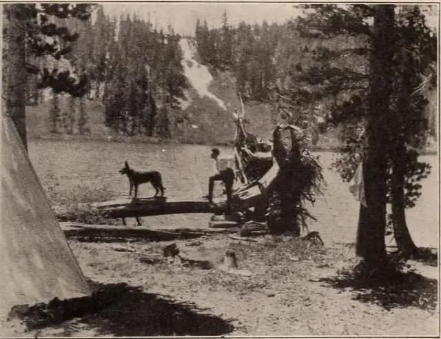 The Silent Call photo