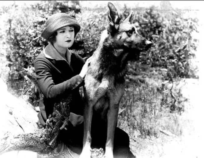 The Silent Call photo