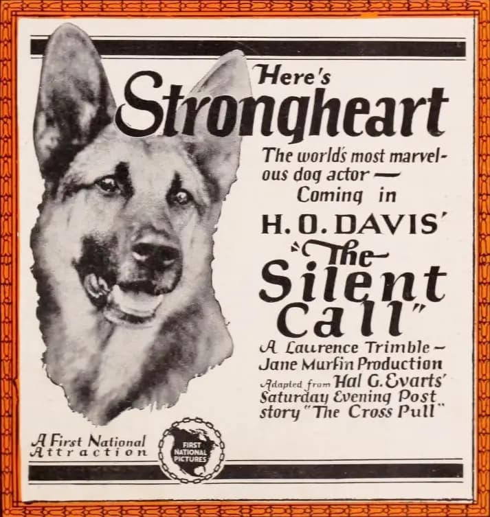 The Silent Call photo