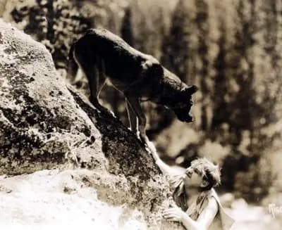 The Silent Call photo