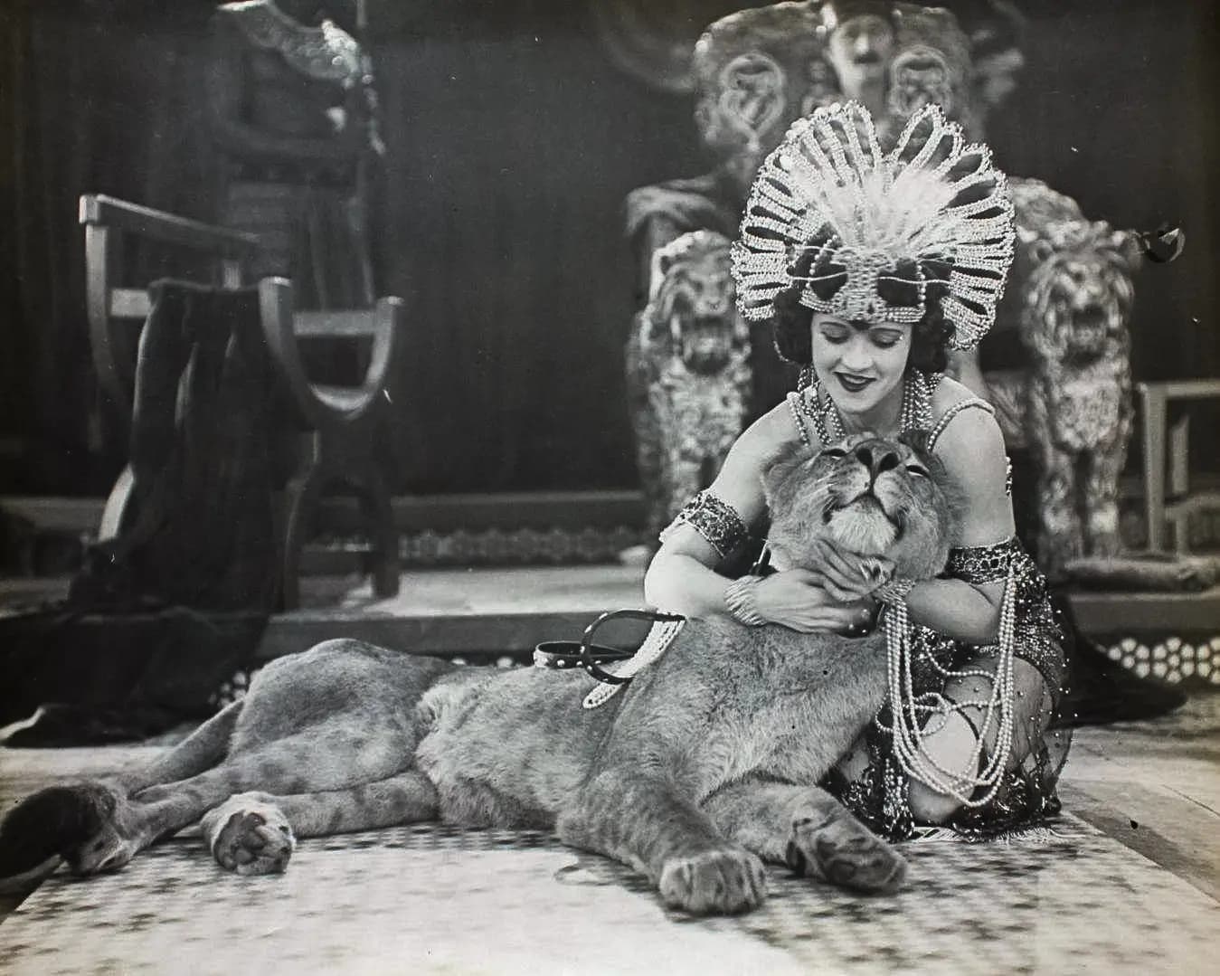 A Small Town Idol photo