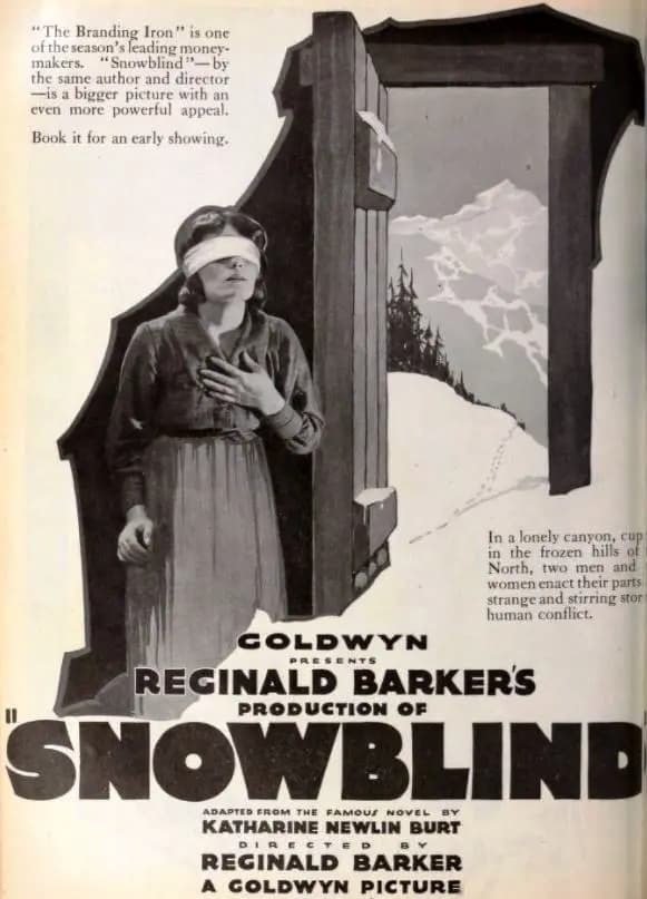 Snowblind