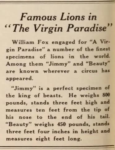A Virgin Paradise