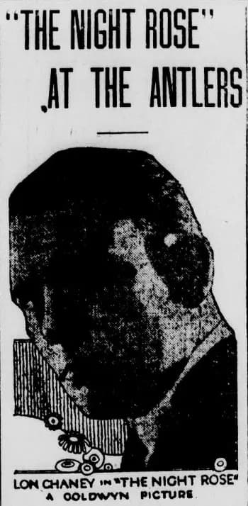 Voices of the City photo