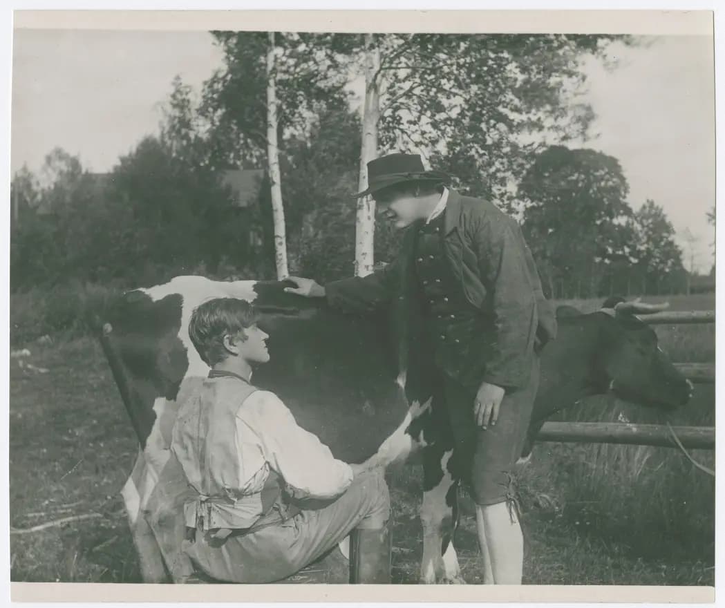 Värmlänningarna photo