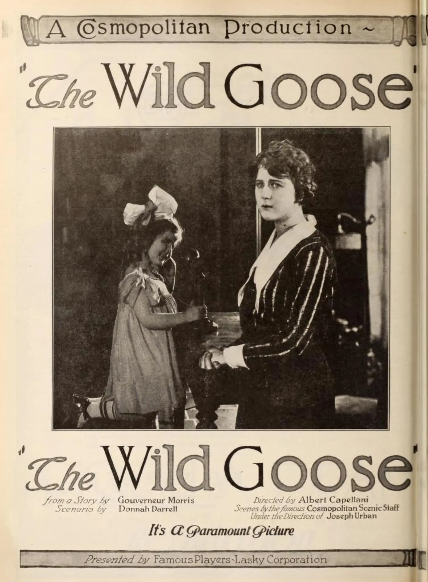 The Wild Goose