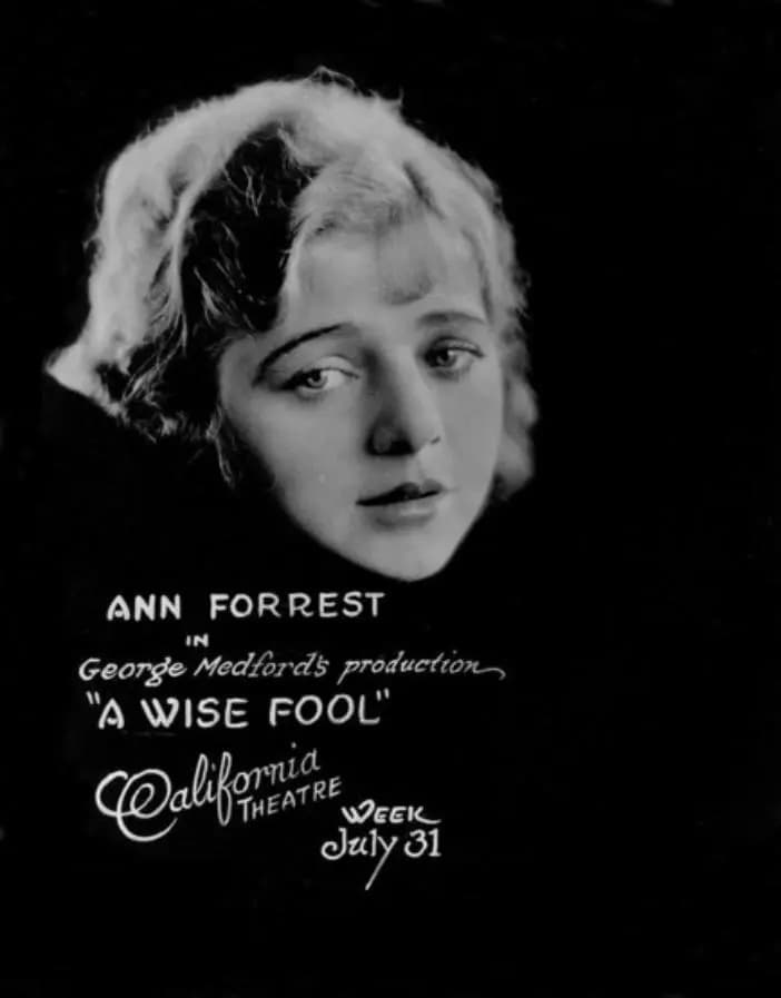 A Wise Fool