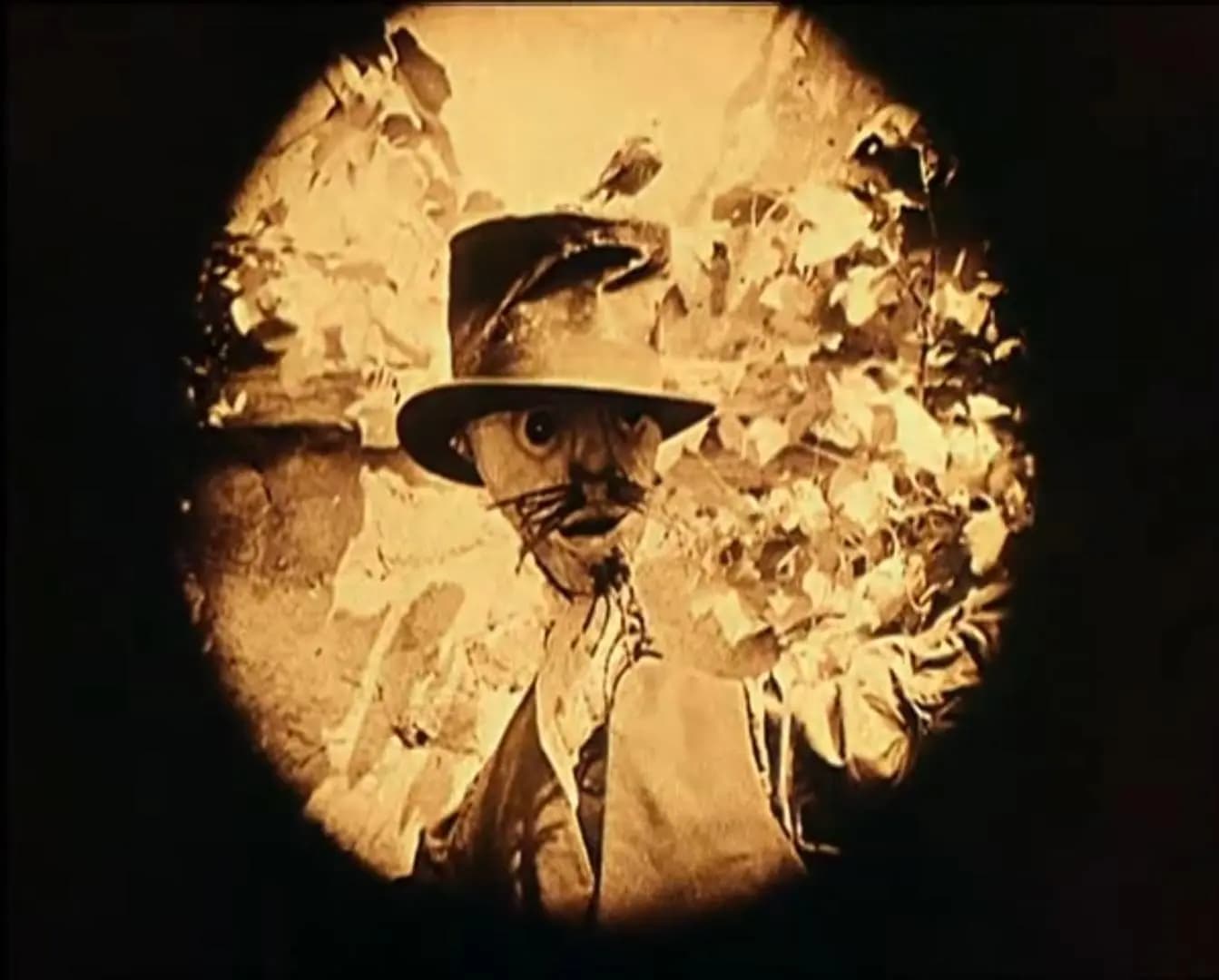 The Scarecrow