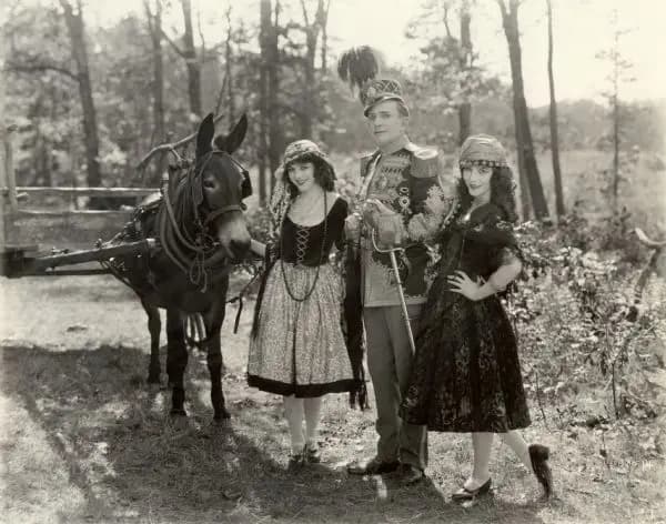 The Beauty Shop